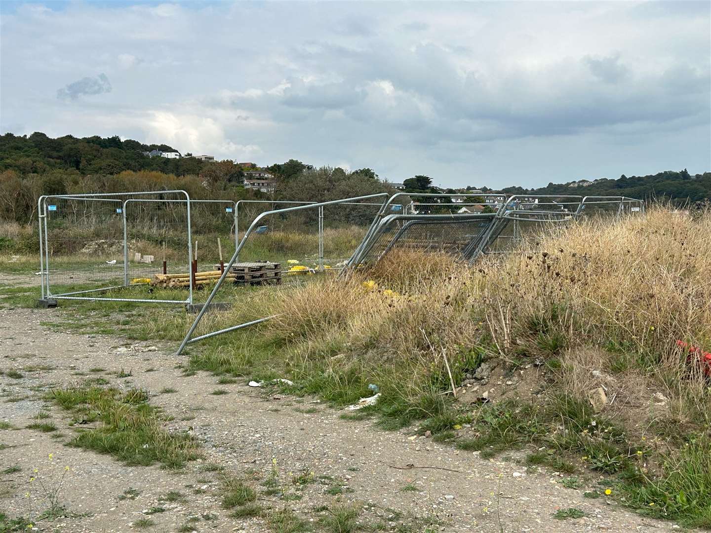 There are calls for an urgent clear-up of the Princes Parade site