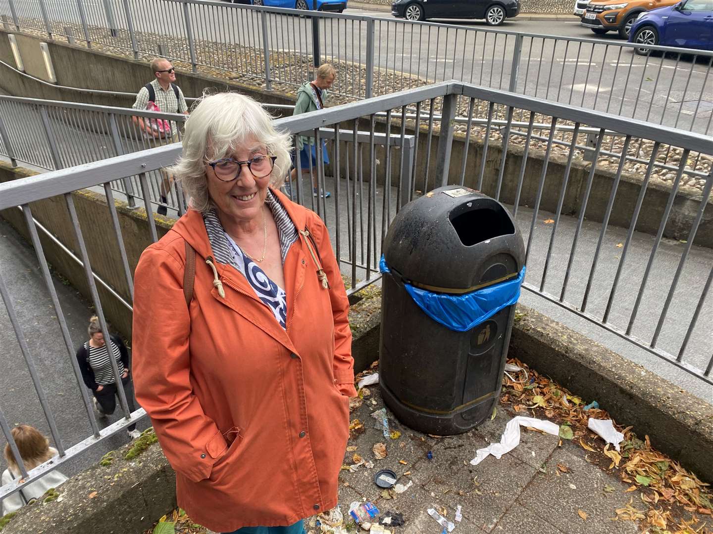 Helly Langley, 74, is one of those calling for a tidy up