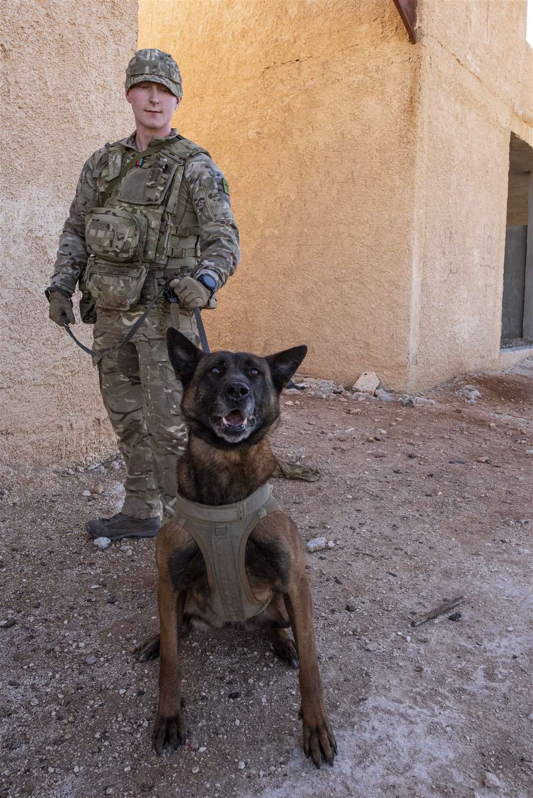 Military Working dog Lucy takes part in Exercise Olive Grove in Jordan (Crown Copyright/PA)