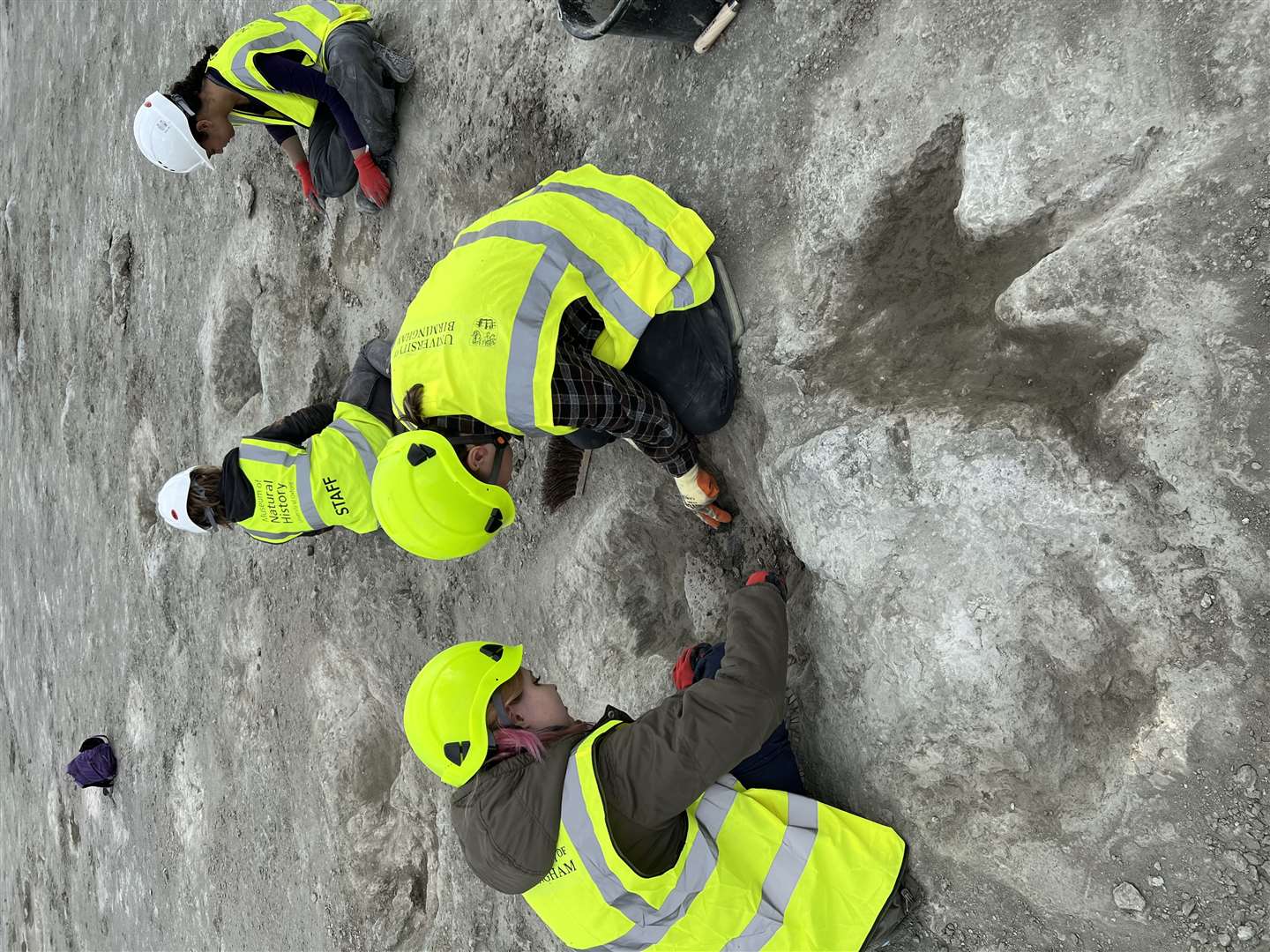 During the new excavation, more than 20,000 images were created of the prints (OUMNH/PA)