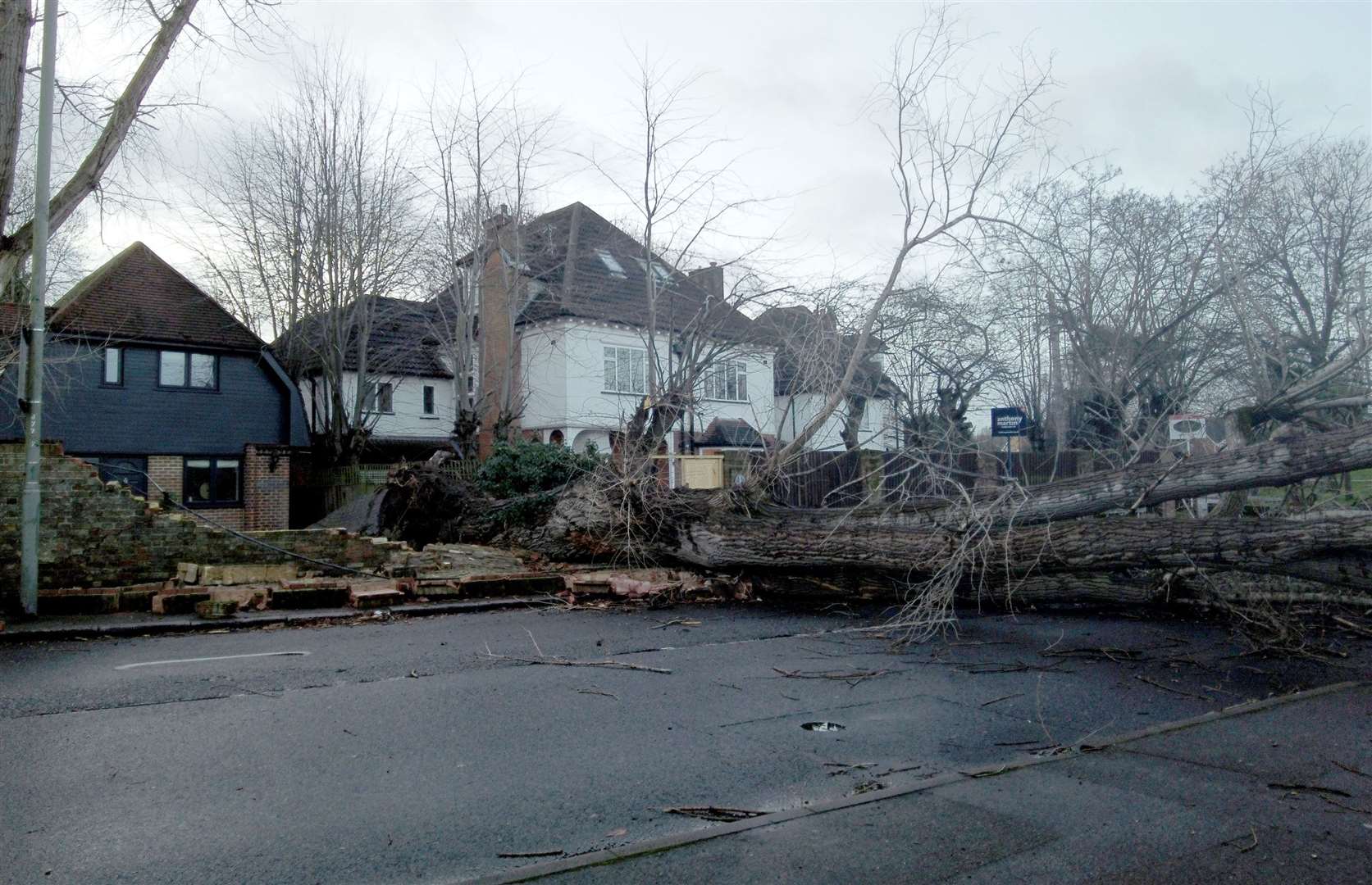 A fallen tree in Bromley, south east London (Michael Holland/PA)