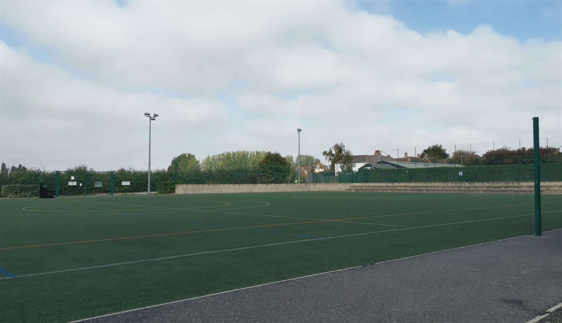 People using the all-weather pitch have been dive-bombed by the seagull