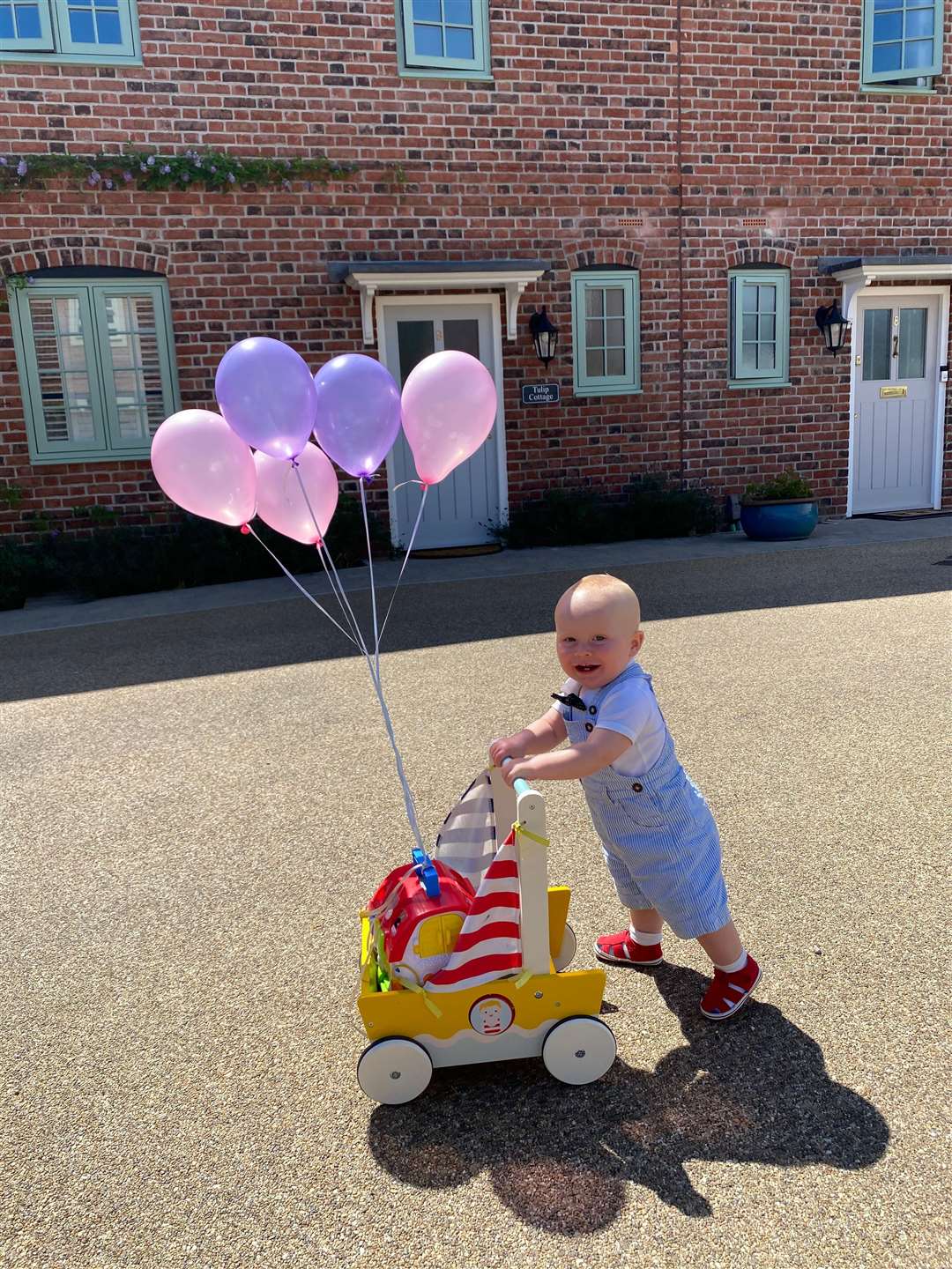 Teddy doing his walking challenge in an outfit inspired by the film Up (Liam Kilbane/PA)