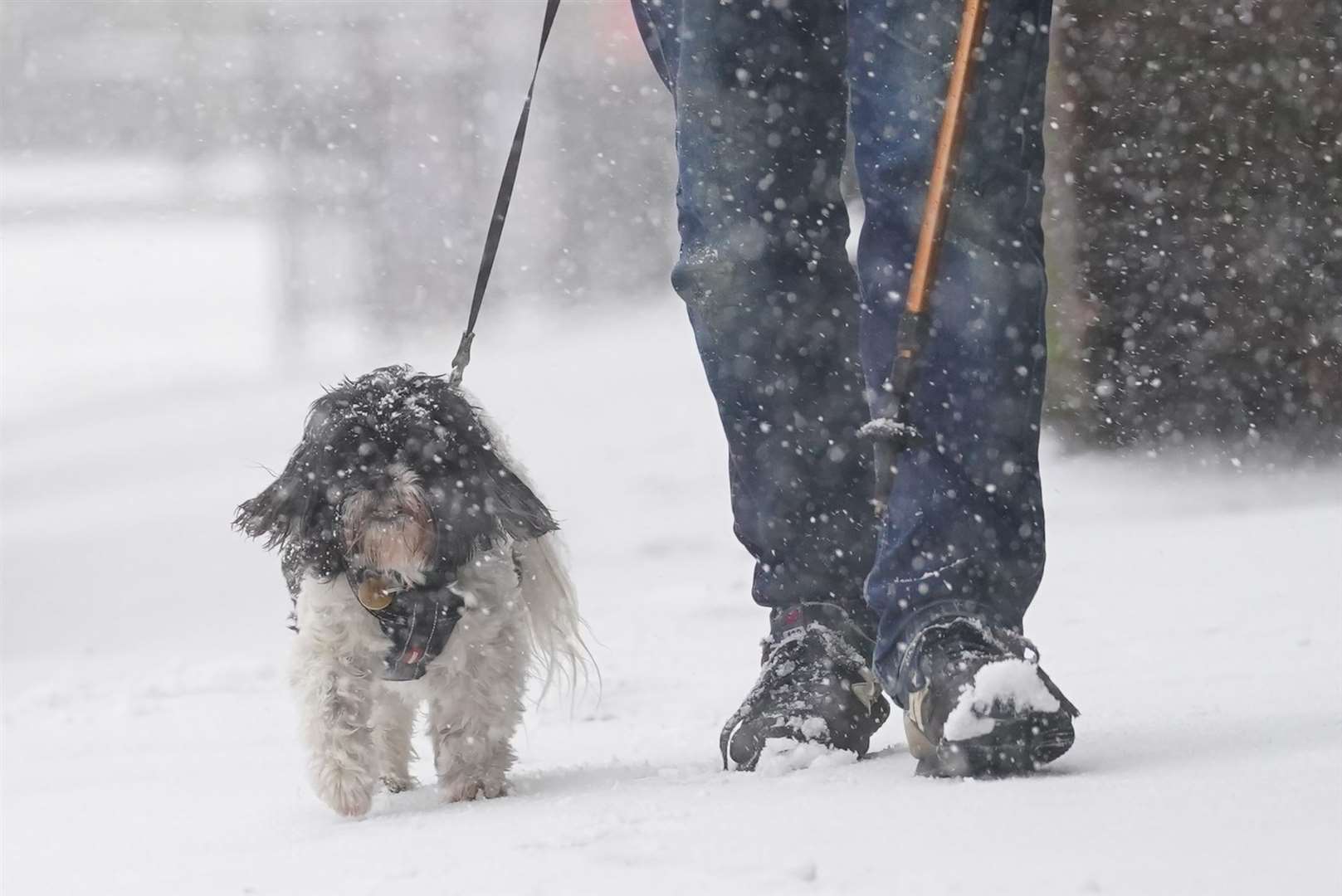 A man walks a dog through a snow flurry in Lenham, Kent (Gareth Fuller/PA)