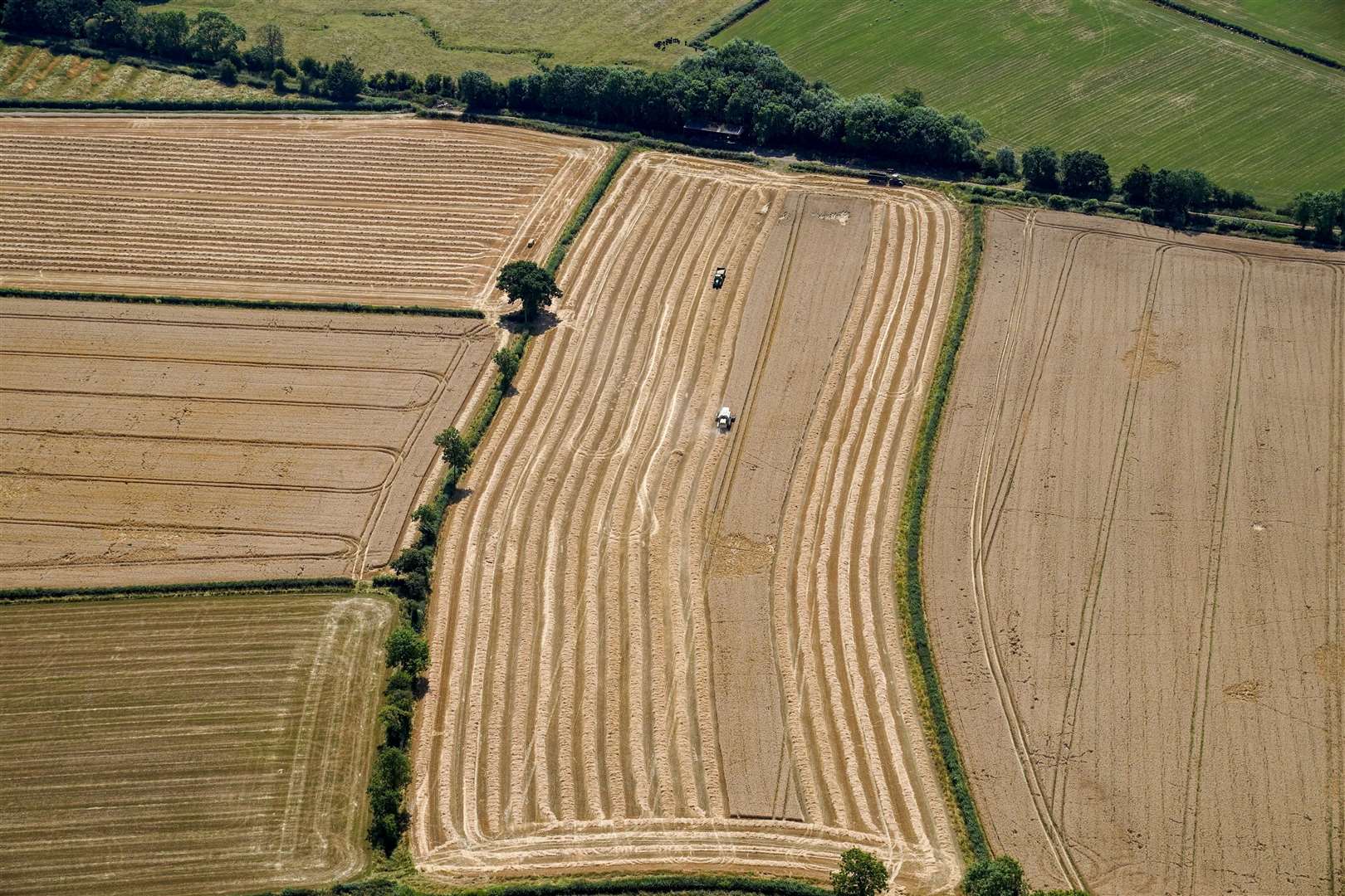 A field of wheat in Gloucestershire (PA)