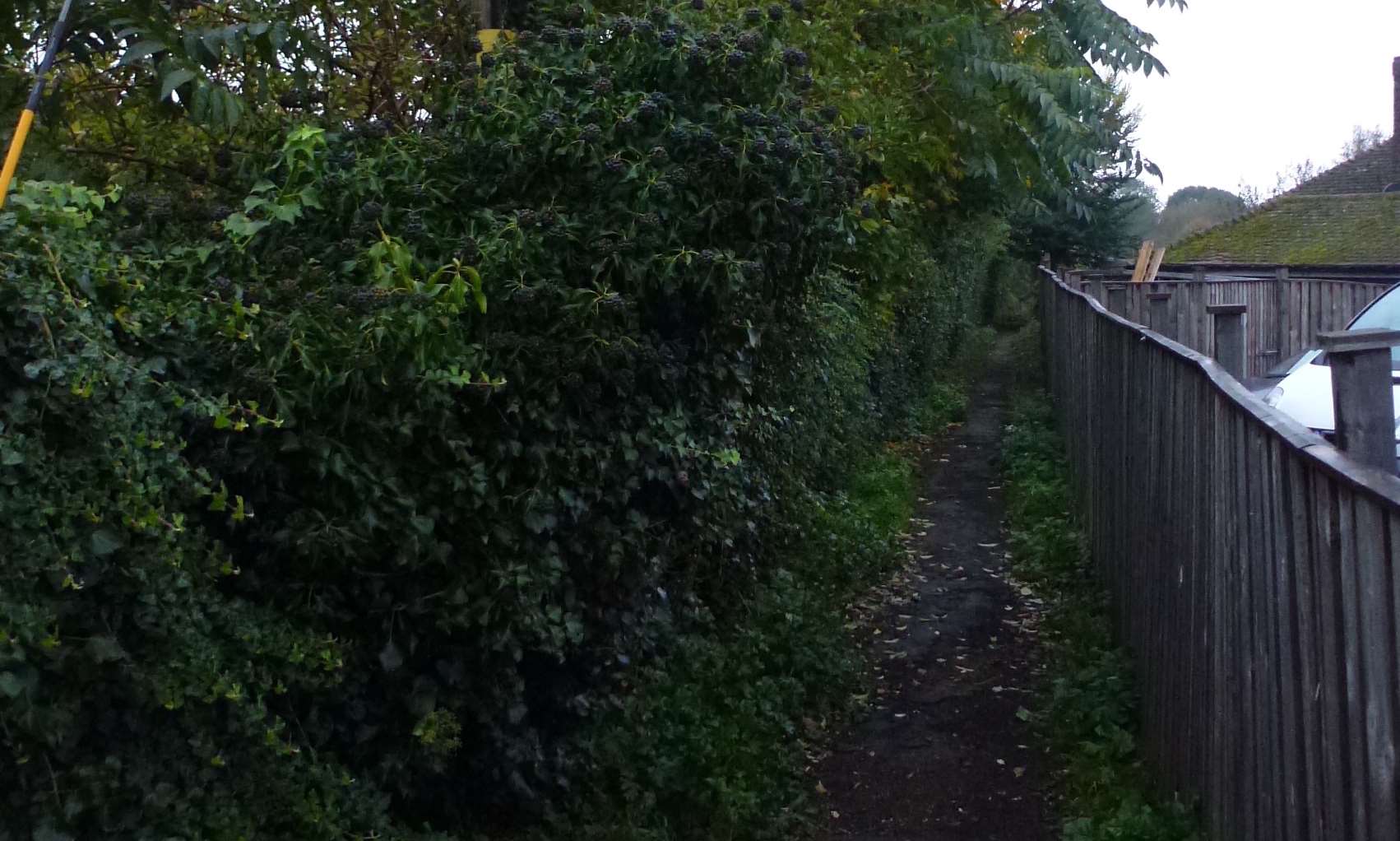 A woman was sexually assaulted in an alleyway off Berengrave Lane, Rainham