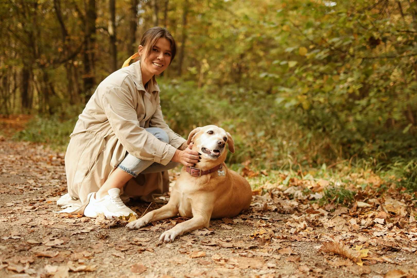 It is important you notice the changes in your dog's poo. Picture: Polina Tankilevitch, Pexels