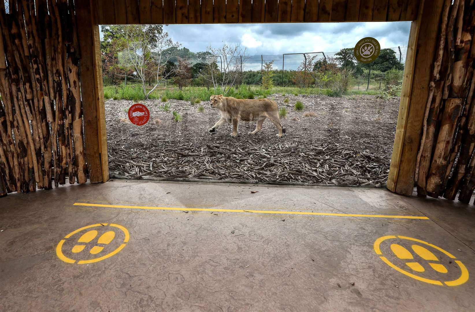 Chester Zoo has put in social distancing measures (Peter Byrne/PA)