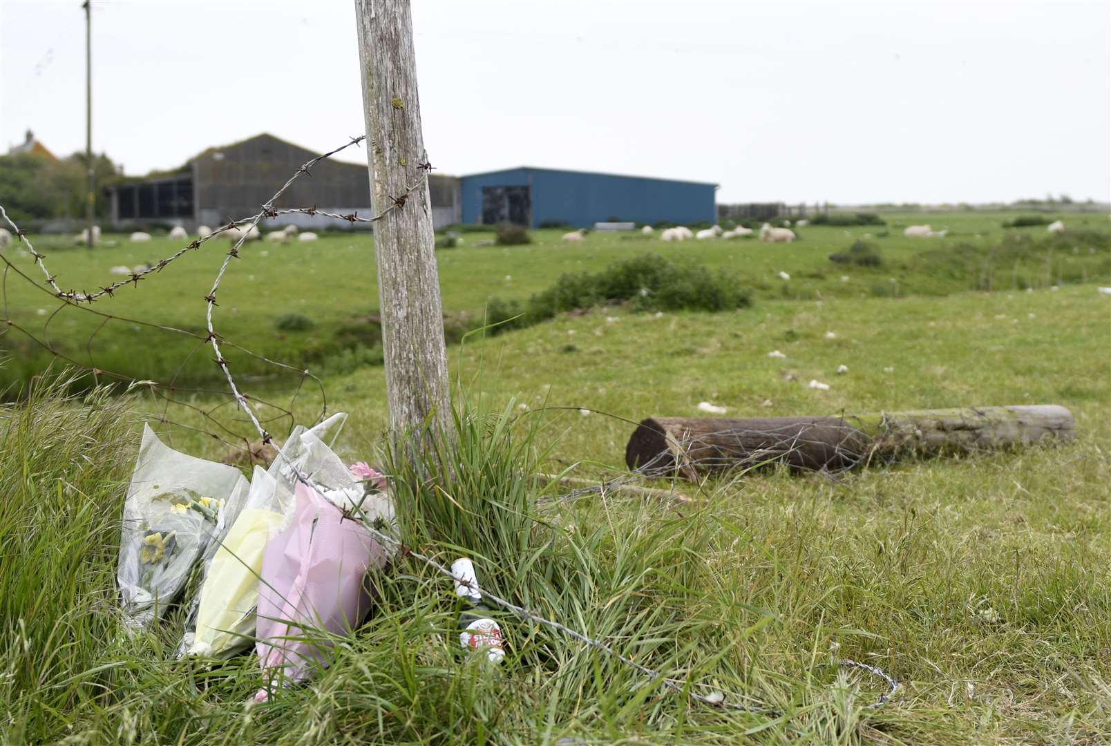 The scene of a fatal crash involving Beth Eves and Harry Skilton