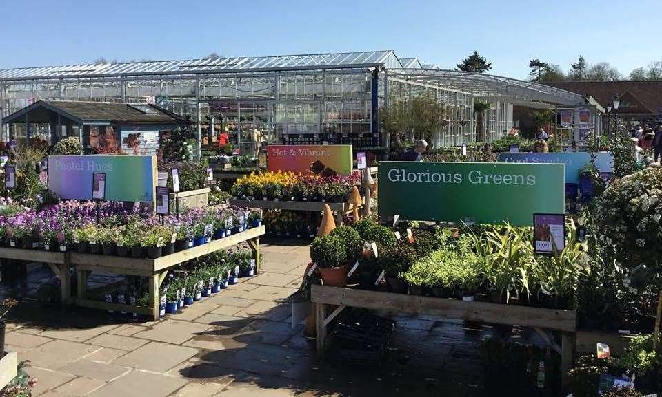 Thousands of plants are grown at Coolings’ own production nursery.