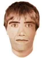 Police investigating a sexual assault have issued this e-fit