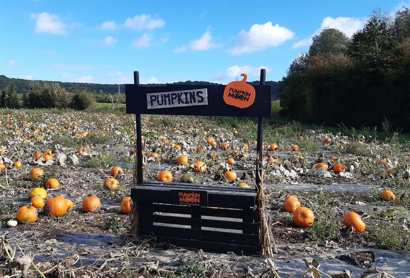 Lots of different props can be found in the fields for people to pose with