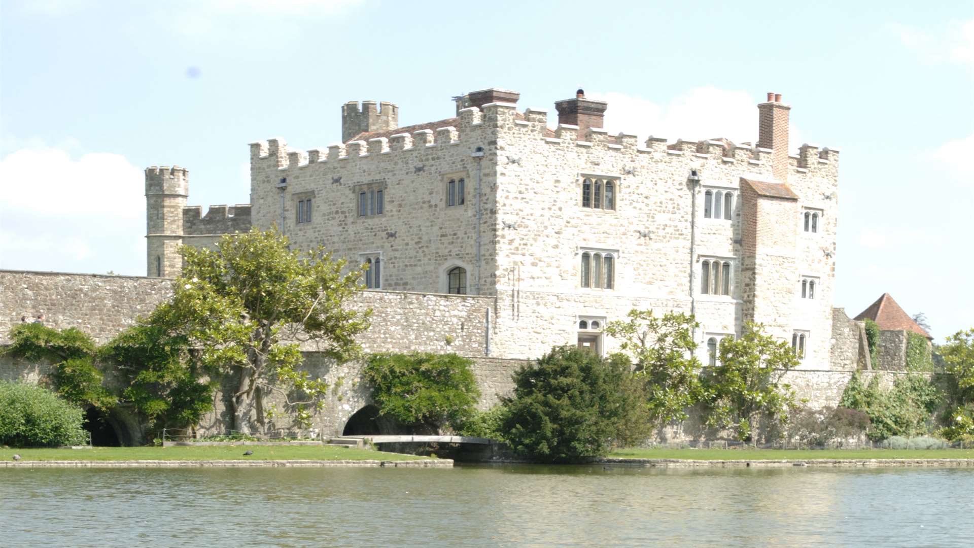 Black swans at Leeds Castle