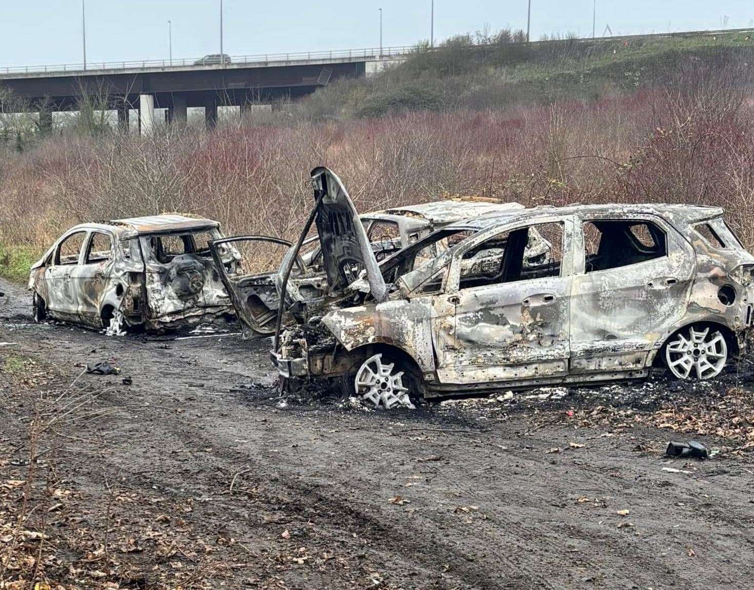 The burnt-out cars were discovered in woodland between Darenth Country Park and Waller Park in Dartford