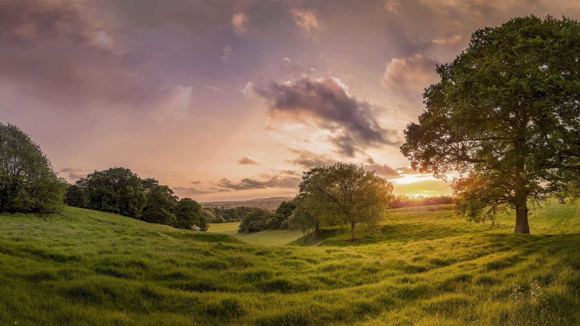 Kent Wildlife Trust is staging a photographic exhibition. Picture: David Jenner