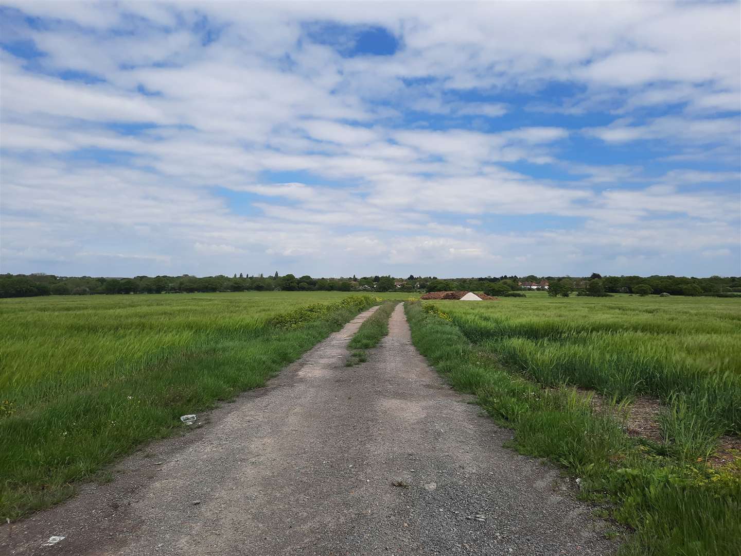 Brooklands Farm in Whitstable (pictured) is one of the largest sites put forward by developers so far