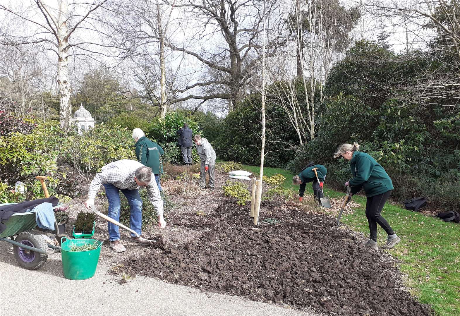 Royal Tunbridge Wells gardening campaign becomes RHS Britain in Bloom ...