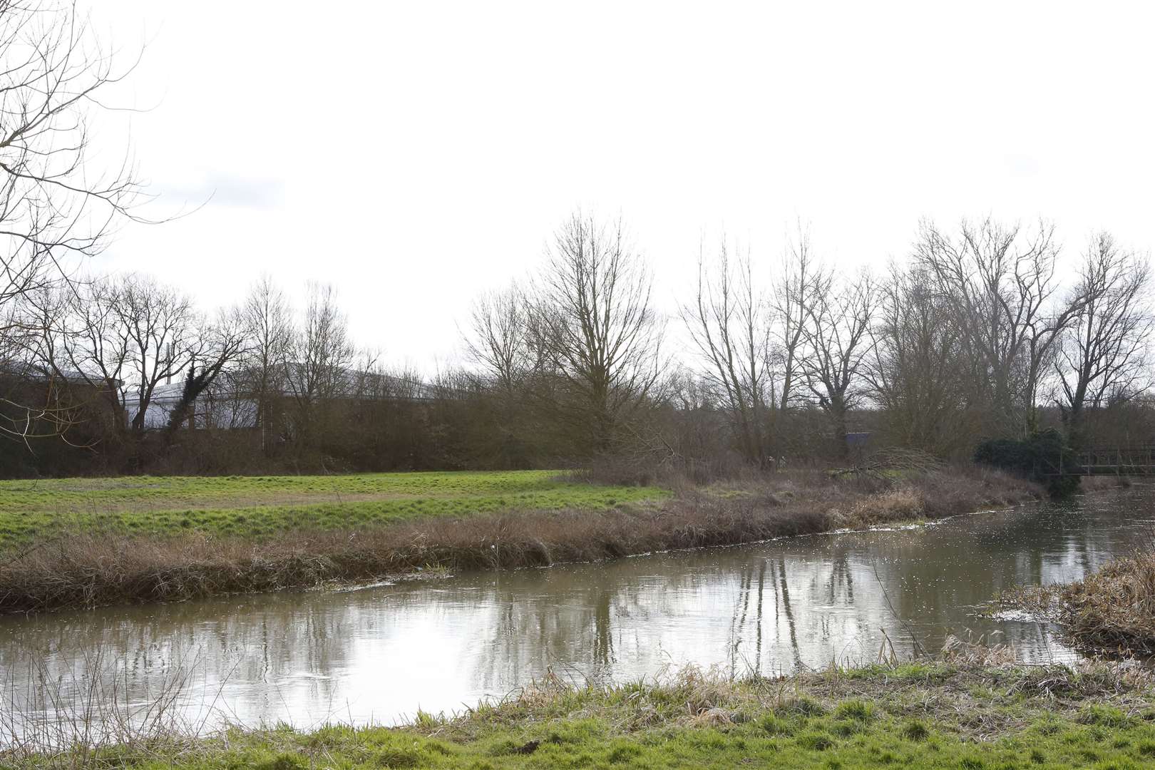 Hambrook Marshes