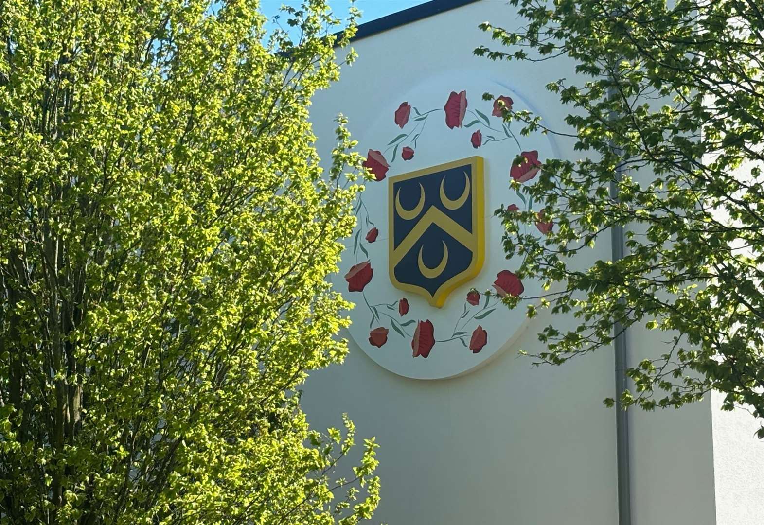 A colourful mural on the wall includes the school’s logo. Picture: Sophie Dixon