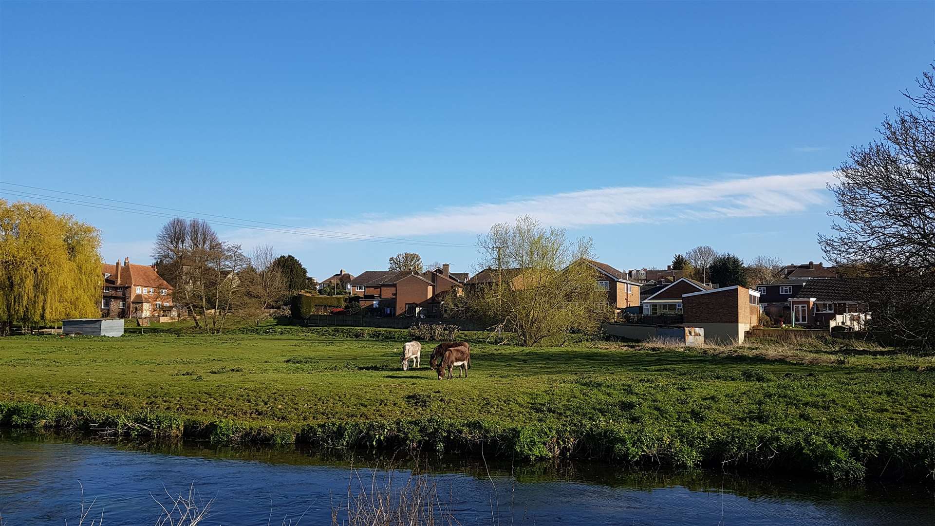 A group of teenagers was attacked by the River Stour. Stock picture