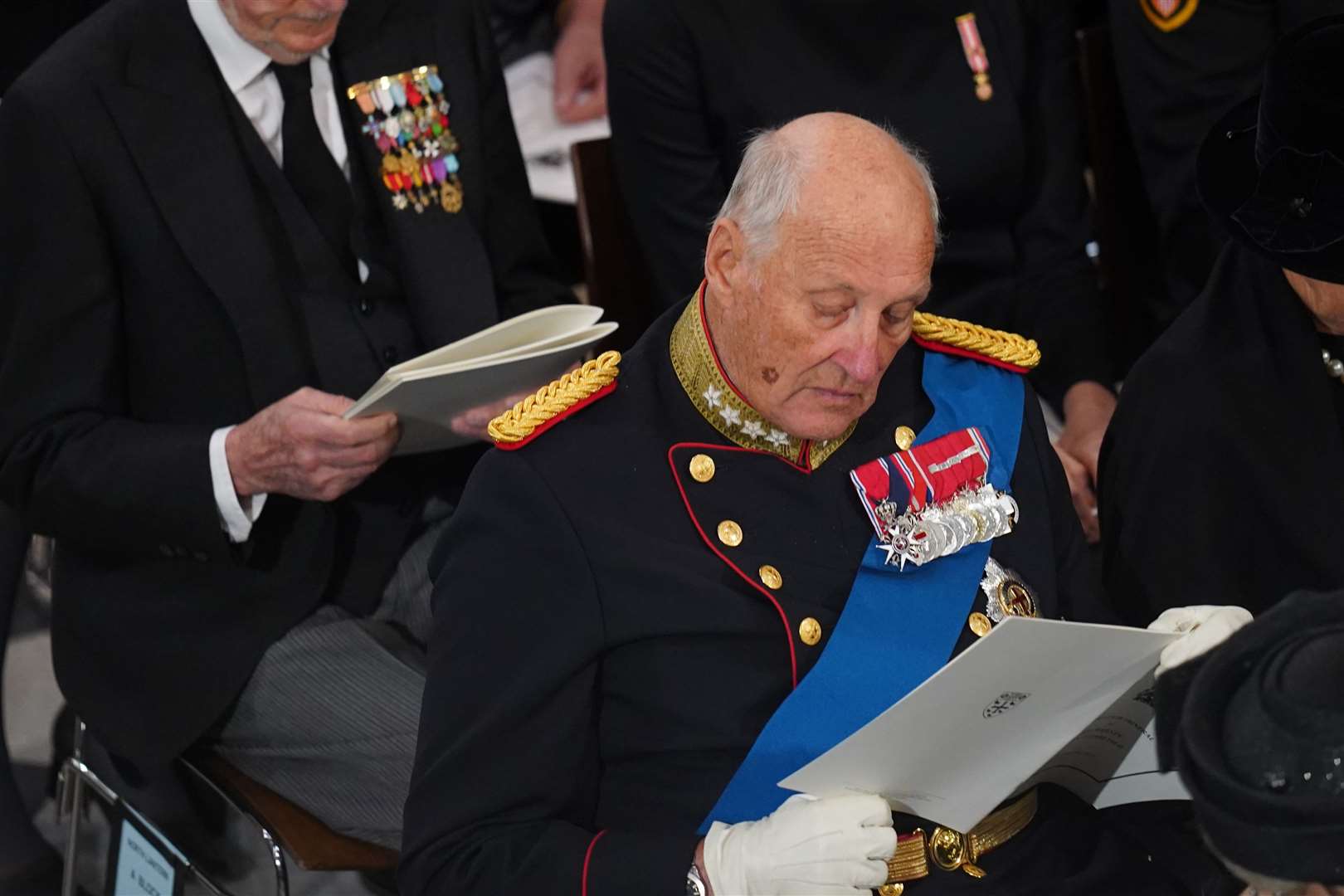 King Harald V of Norway (Gareth Fuller/PA)