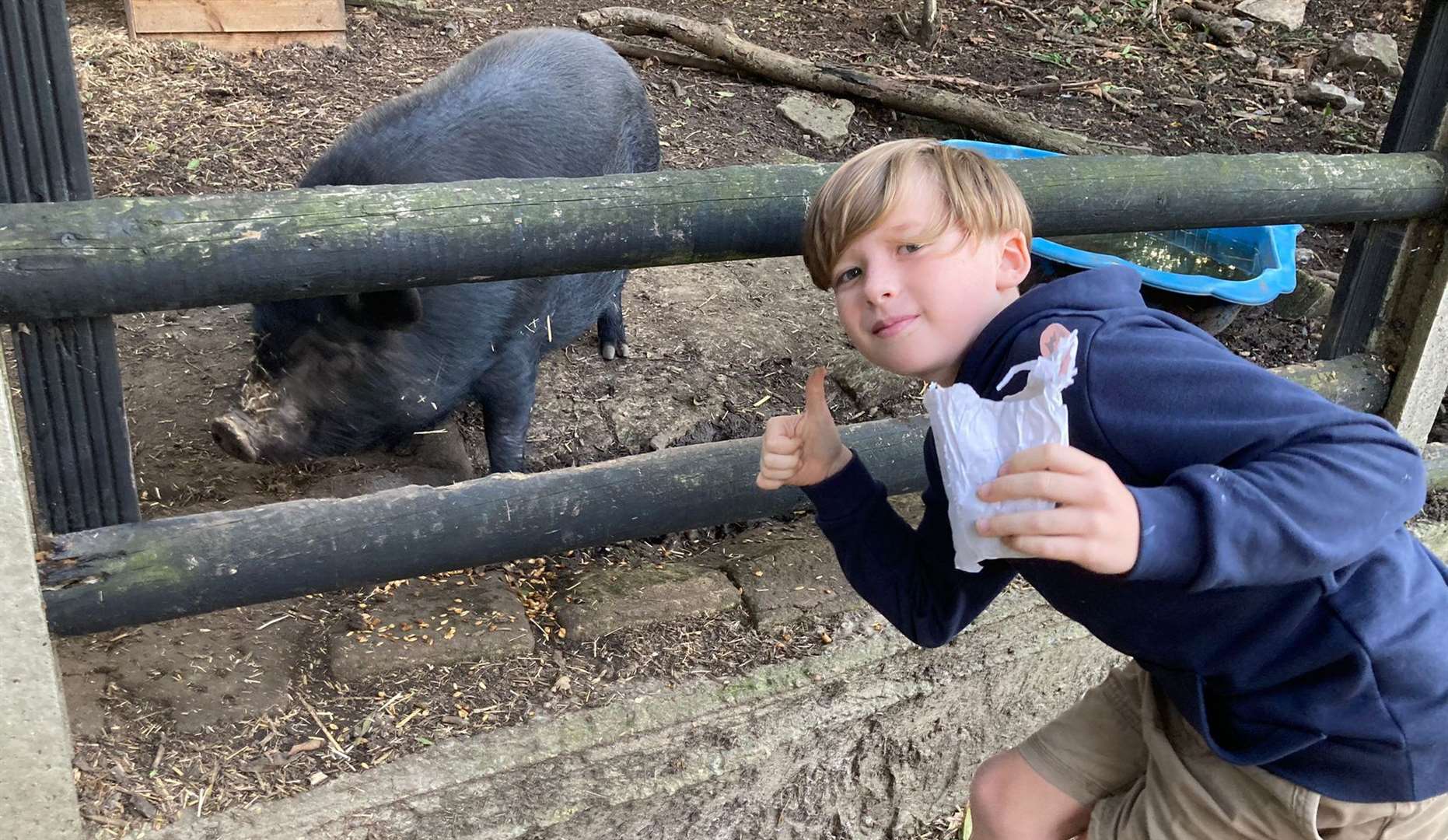 Kids can enjoy meeting the Waggon at Hale’s resident farm animals