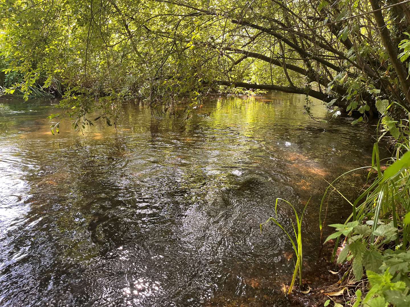 Public fury has swelled over the degraded state of the country’s rivers, lakes and coastal waters (Emily Beament/PA)