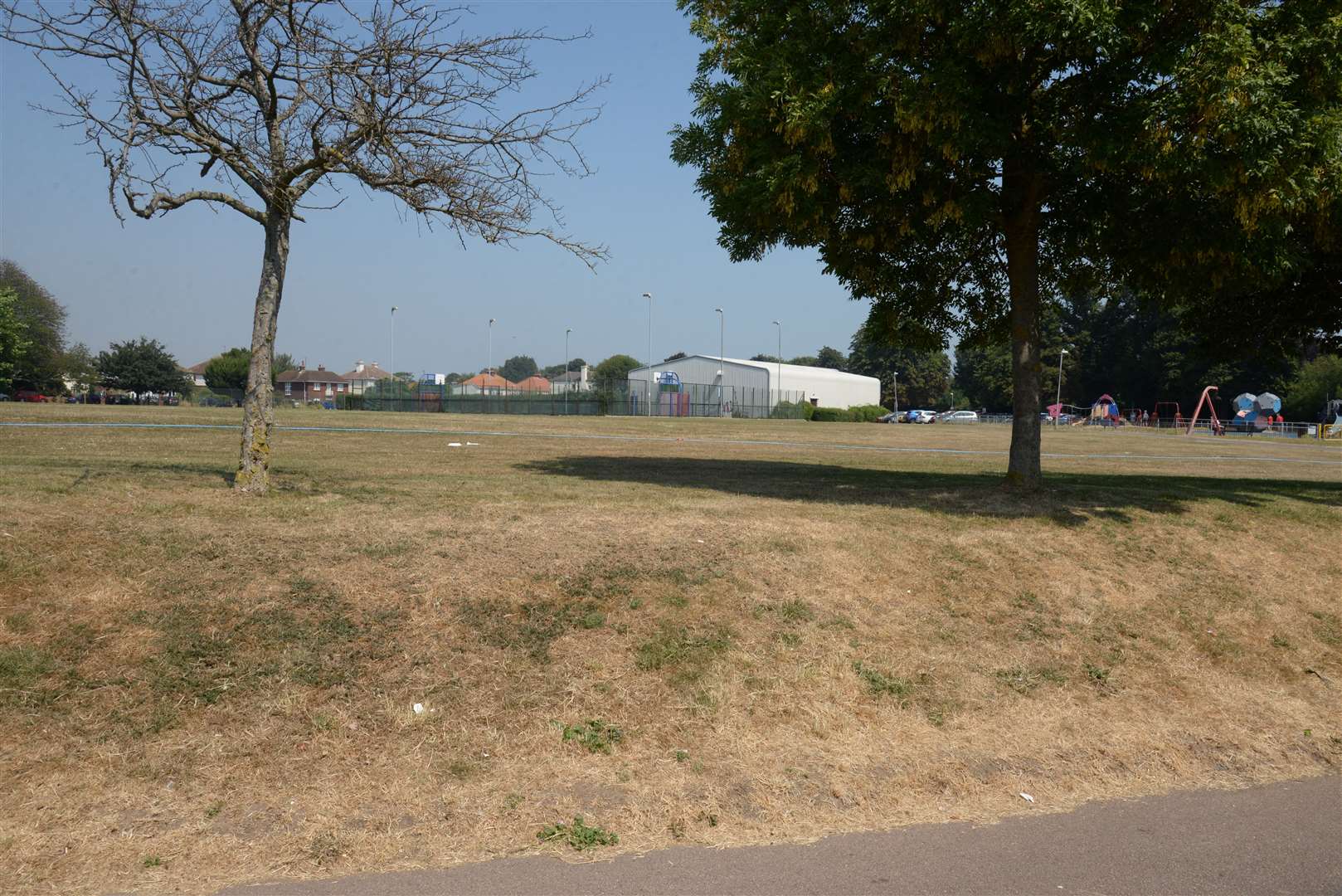 Criminal damage blighted Victoria Park in June