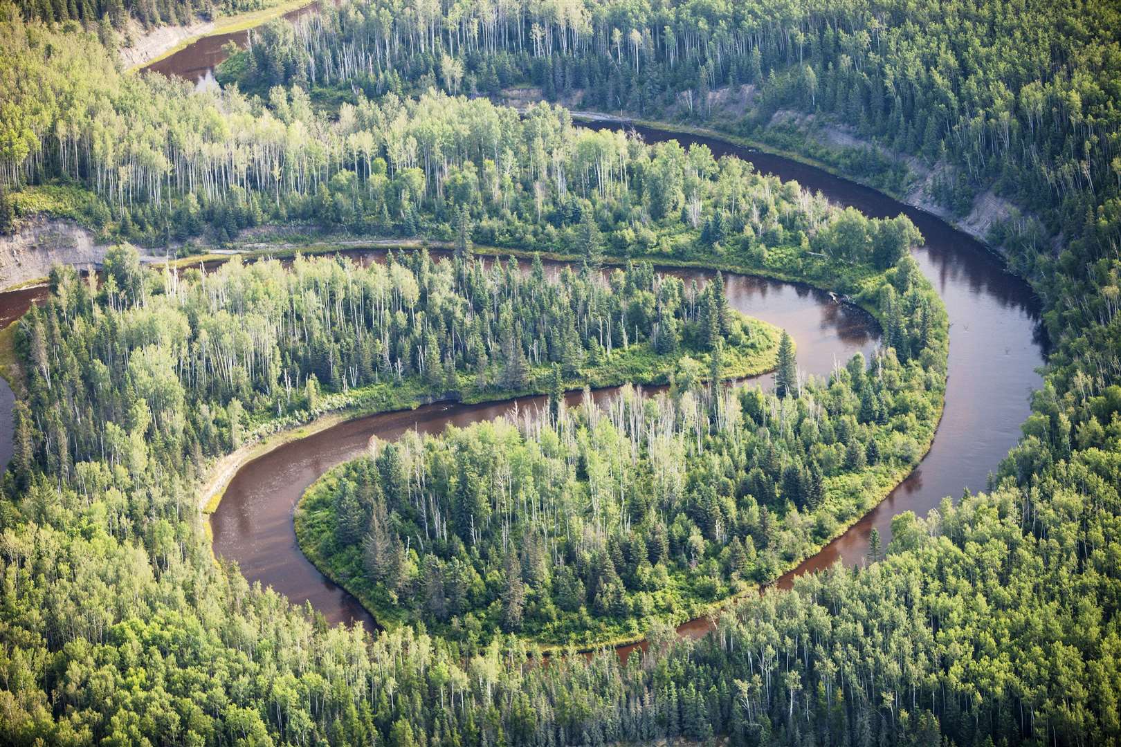 Boreal forest in Northern Alberta, Canada near Fort McMurray (Global Warming Images/WWF/PA)