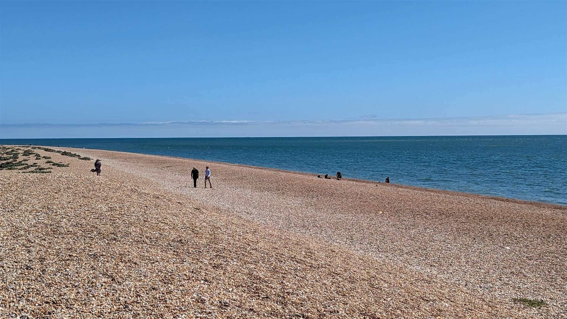 Dungeness Beach has been named one of the best in the world