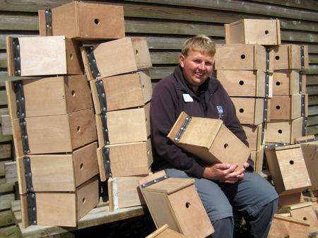 Tree sparrow boxes built by Rochester prisoners.