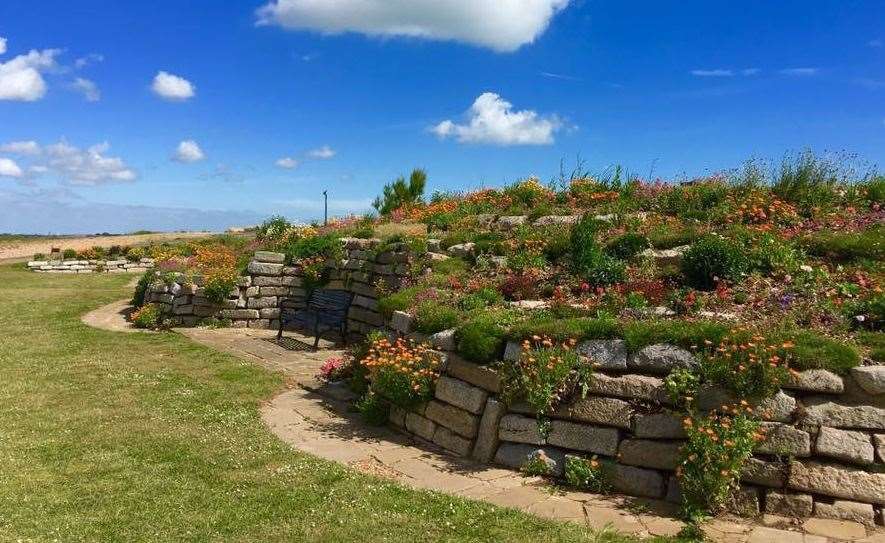 Sandown Castle Community Garden is a popular spot for walkers in Deal