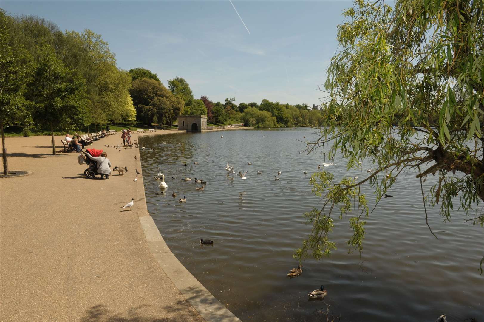 Moat Park, Maidstone. Picture: Steve Crispe