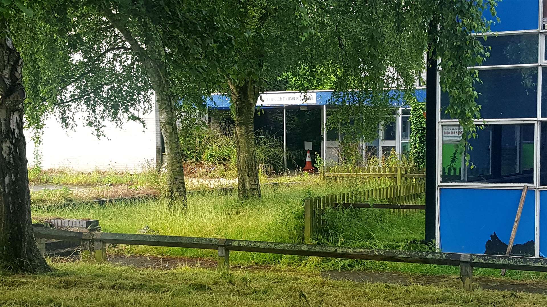 The overgrown state of the old Chaucer School before it was knocked down