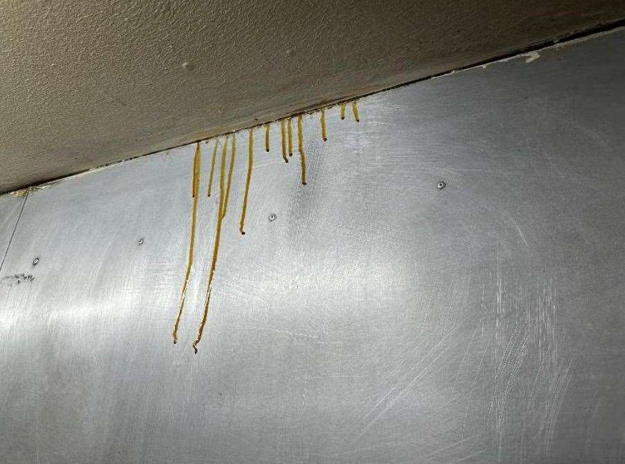 Grease was found dripping from extraction fans in the restaurant. Picture: Ashford Borough Council