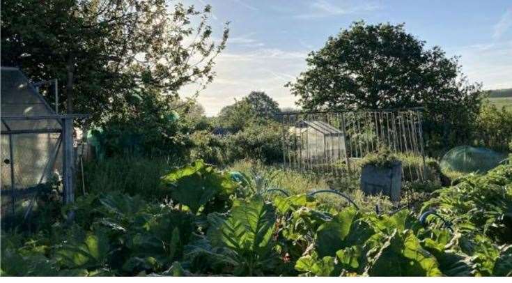 Part of the Hawkenbury Allotments will be taken for road widening