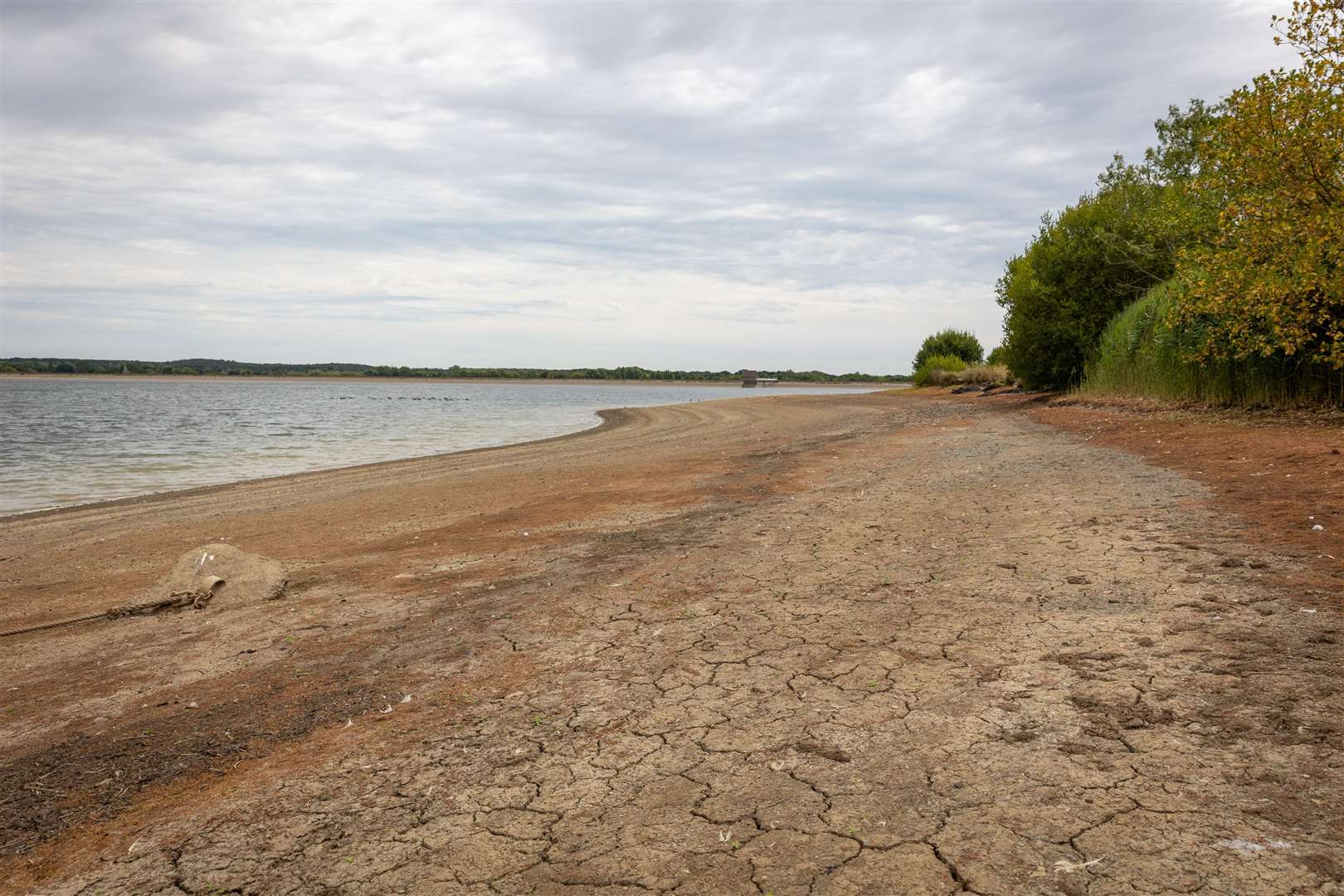 Low water levels and cracked earth at Arlington Reservoir in East Sussex