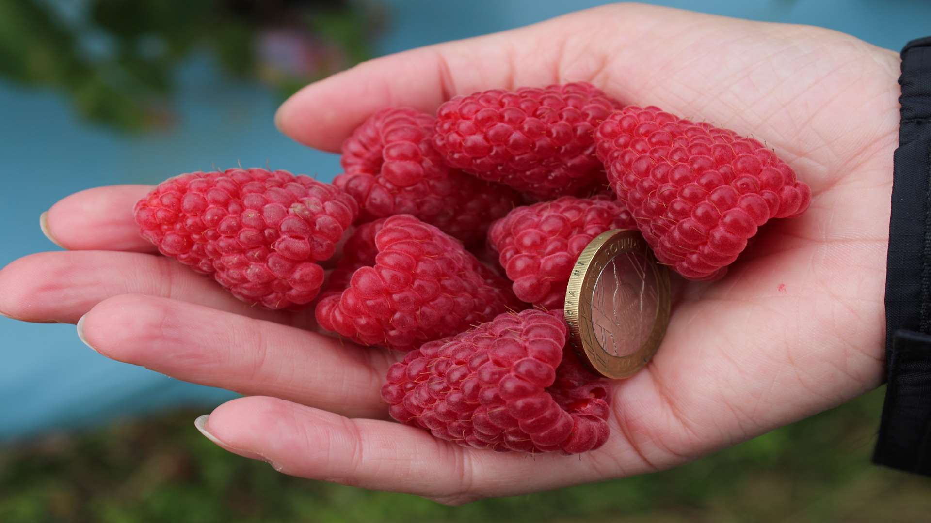 Malling Happy - the new raspberry