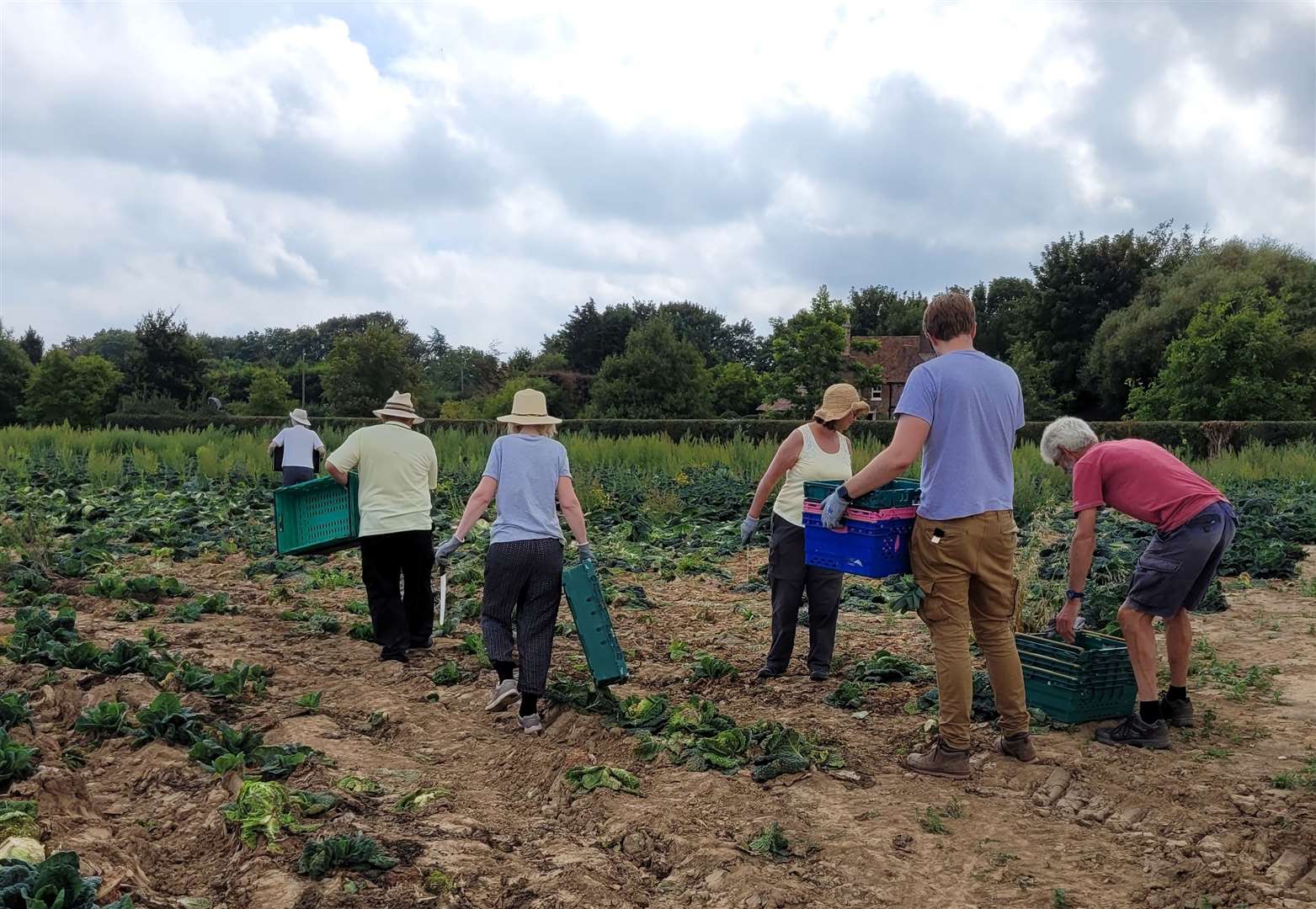 Gleaning sees unwanted crops saved from rotting in the fields. Picture: Charmaine Jacobs