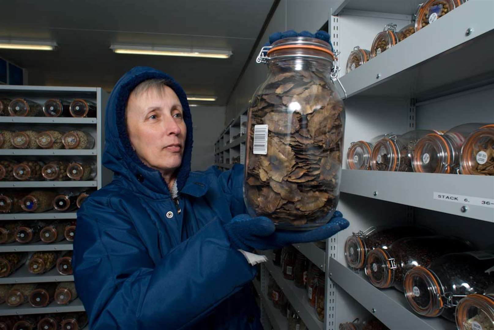 Seeds have been stored at the Millennium Seed Bank (RBG Kew/PA)