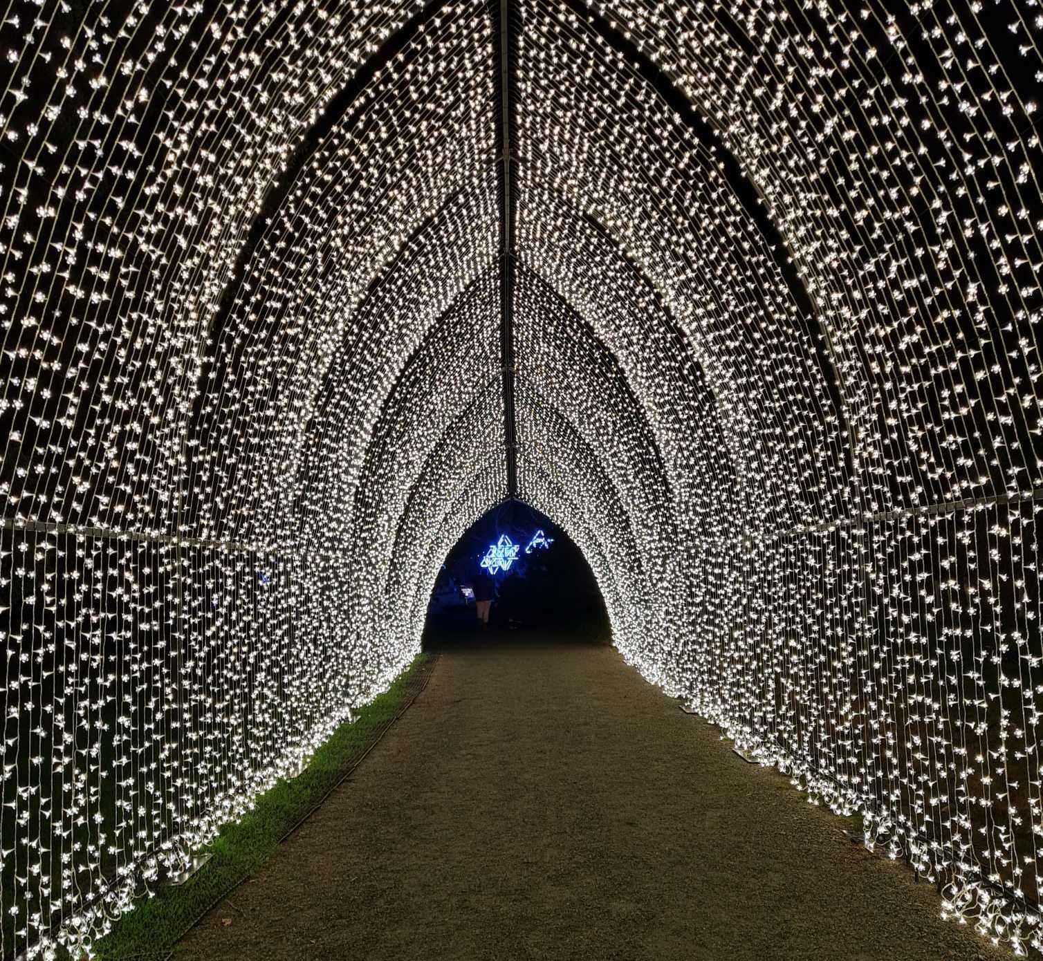 The cathedral of light is a long-lasting favourite at the event