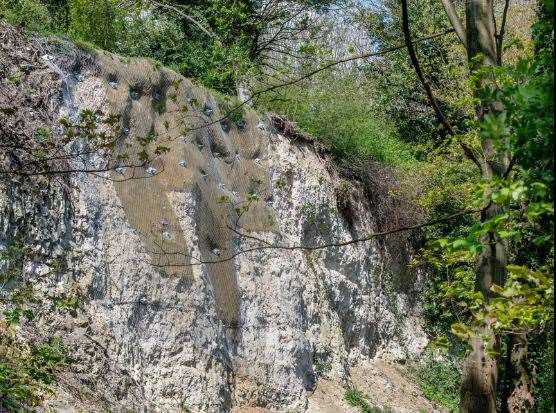 The cliff in Greenhithe, Dartford, posed potential safety risks after weather conditions have led to significant collapses