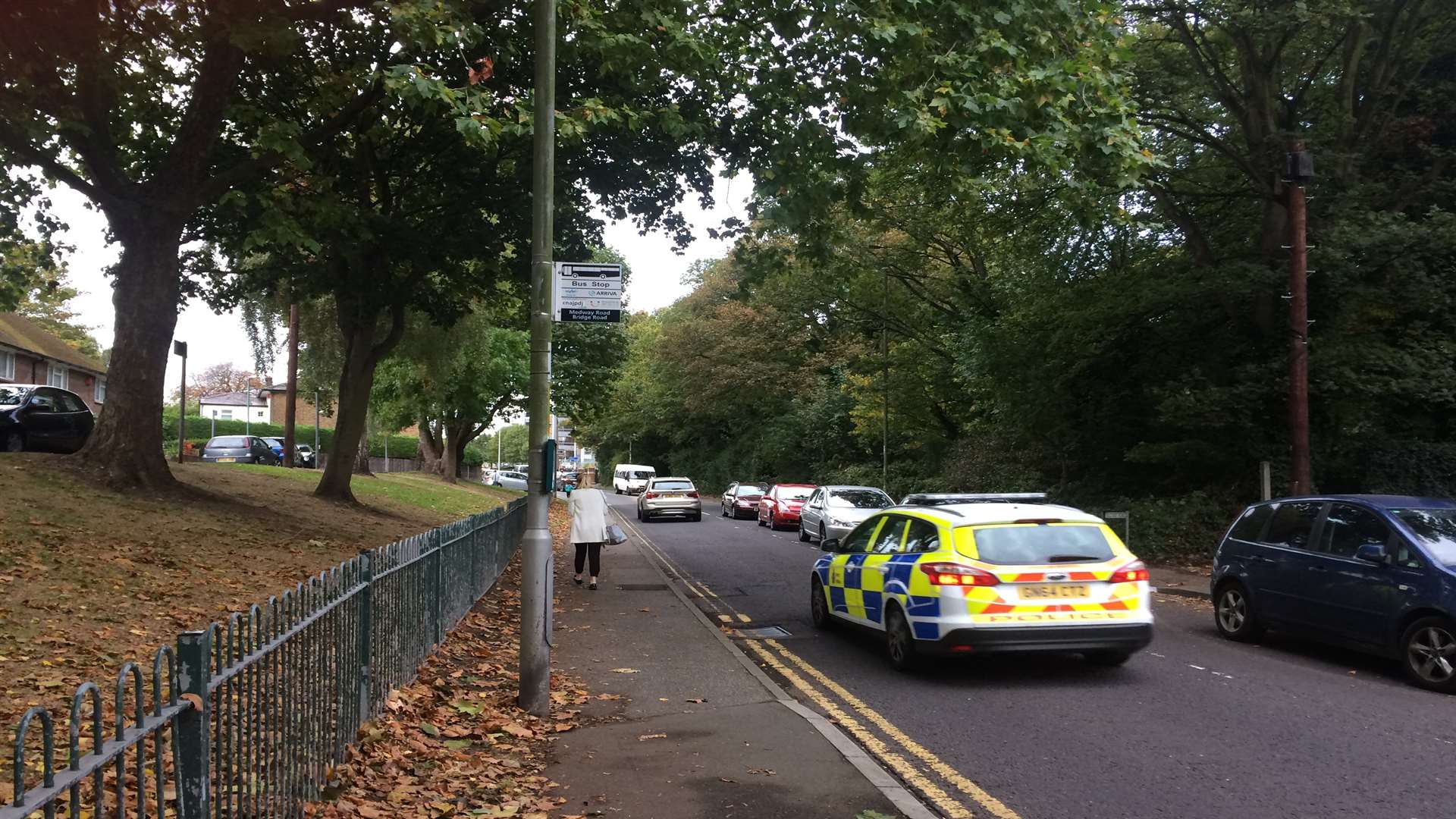 The brothers were hit by a car in Medway Road.