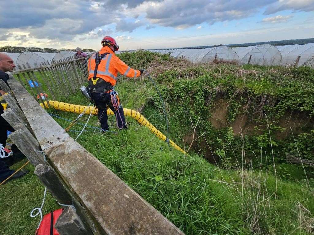 Firefighters rescued the pup on Thursday afternoon. Picture: KFRS