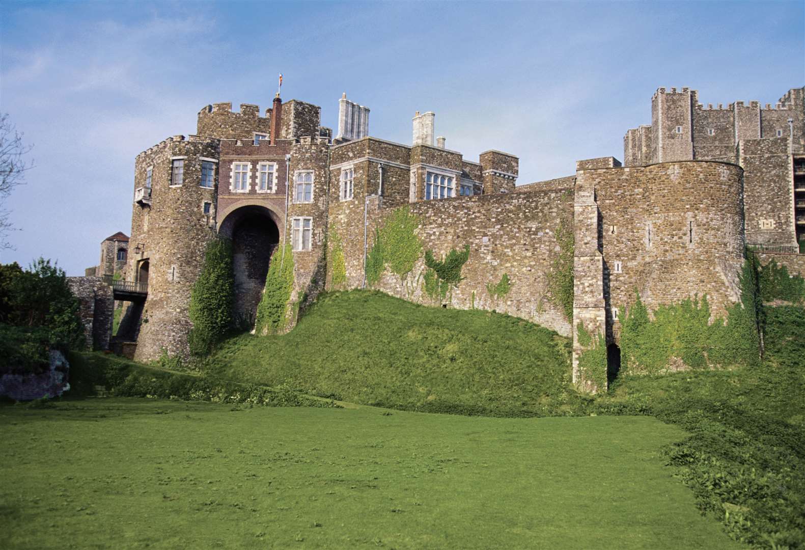 Moss on the wall of Dover Castle