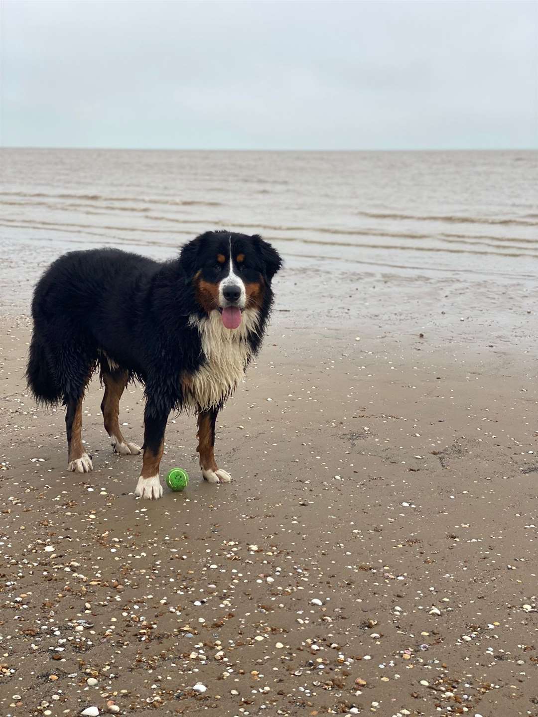 Hudson at the beach