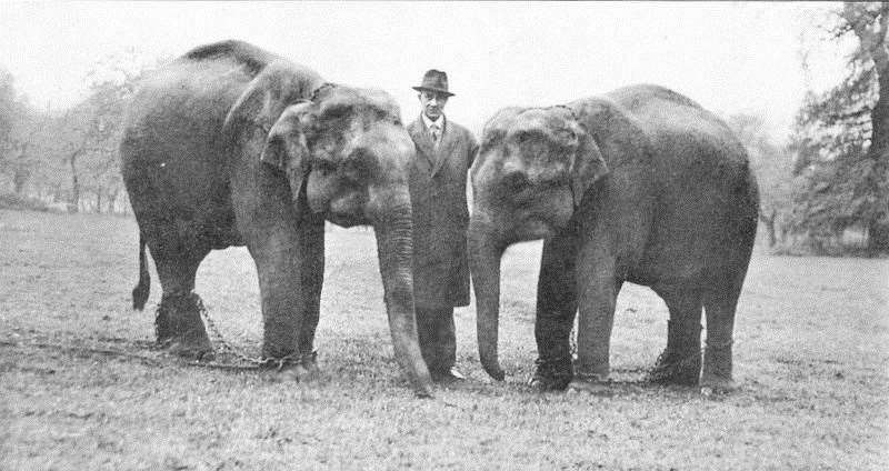 Sir Garrard with Gert and Daisy