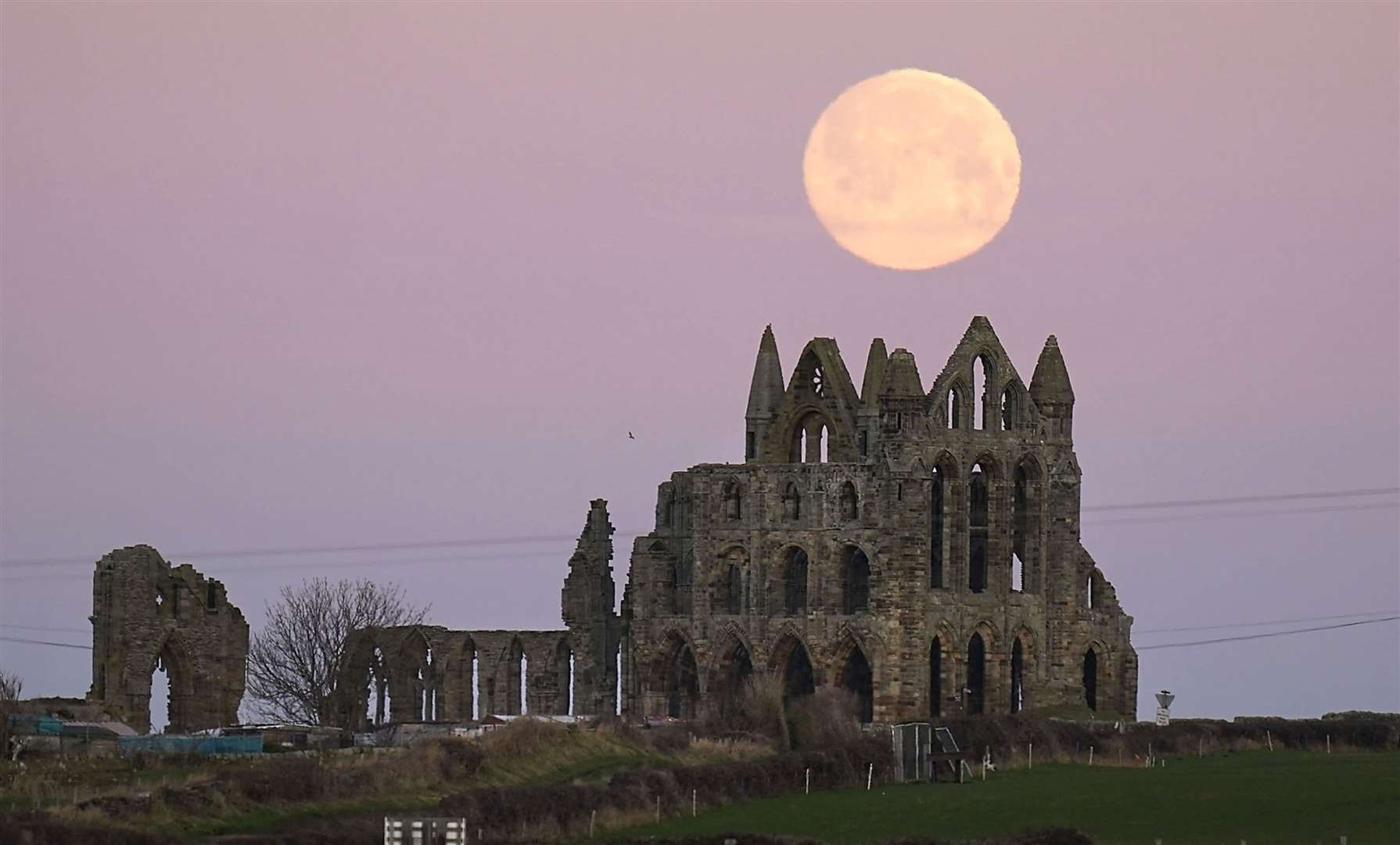 Whitby Abbey in North Yorkshire (Danny Lawson/PA)