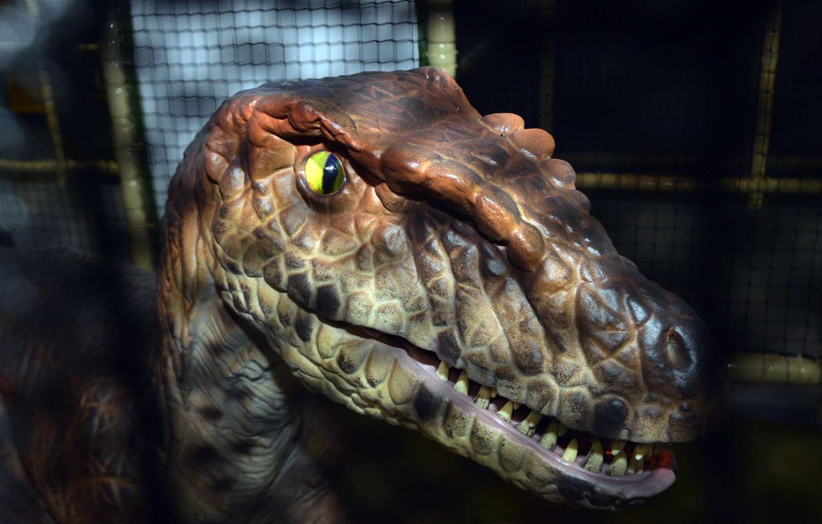 Will you be the 50,000th visitor to Dinotropolis in Bluewater?