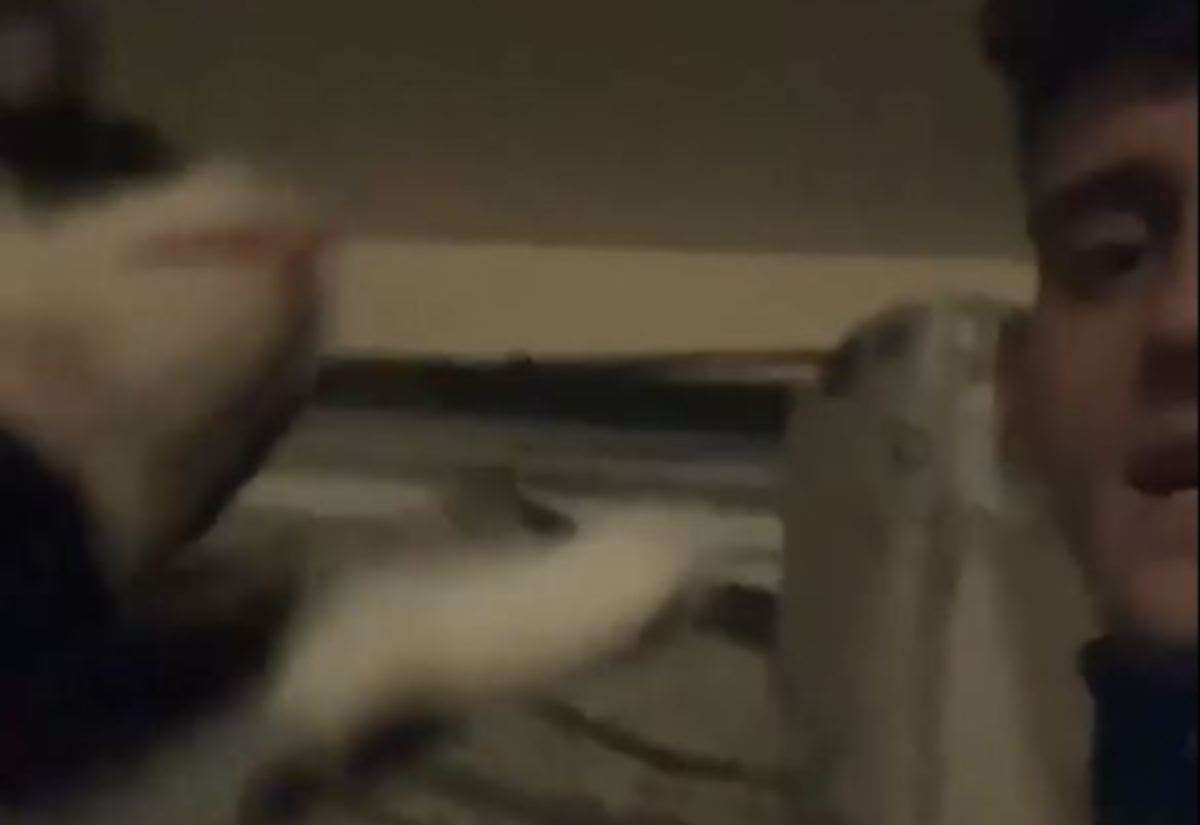 Shocking video shows Canterbury thug’s attack on ex-girlfriend’s cat